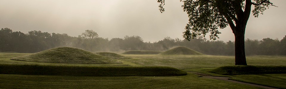 Simmering Mounds Steam fog lifts up from grass-covered mounds surrounded by trees.