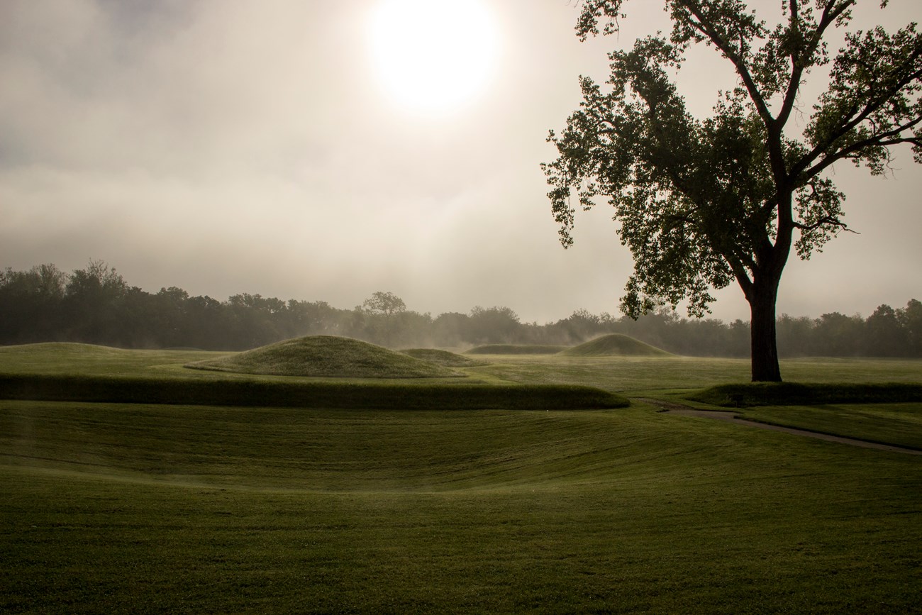 Steam fog lifts up from grass-covered mounds surrounded by trees.