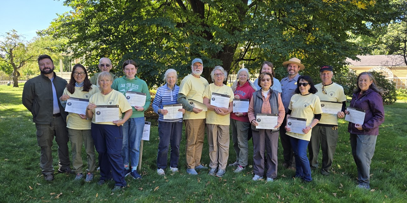 Group of 15 park volunteers and staff stand outdoors under a linden tree, with volunteers holding certificates