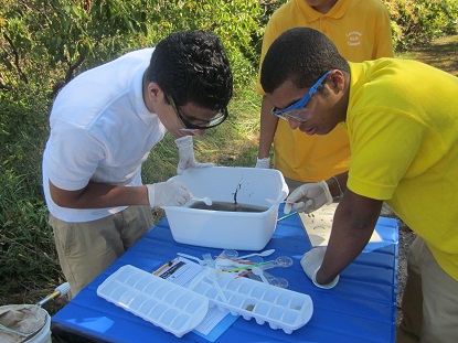 Bridging the Watershed