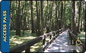 Access Pass with image of boardwalk through the Cypress Swamp at Congaree National Park