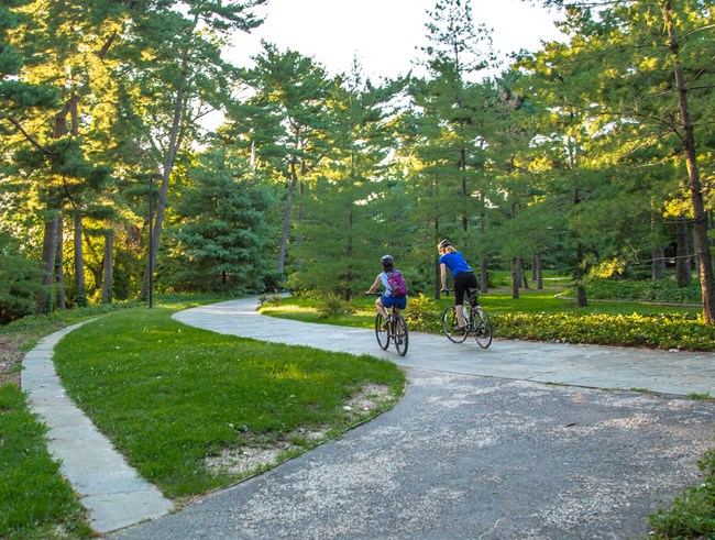 Two cyclists ride their bikes on a paved path surrounded by grass and trees.