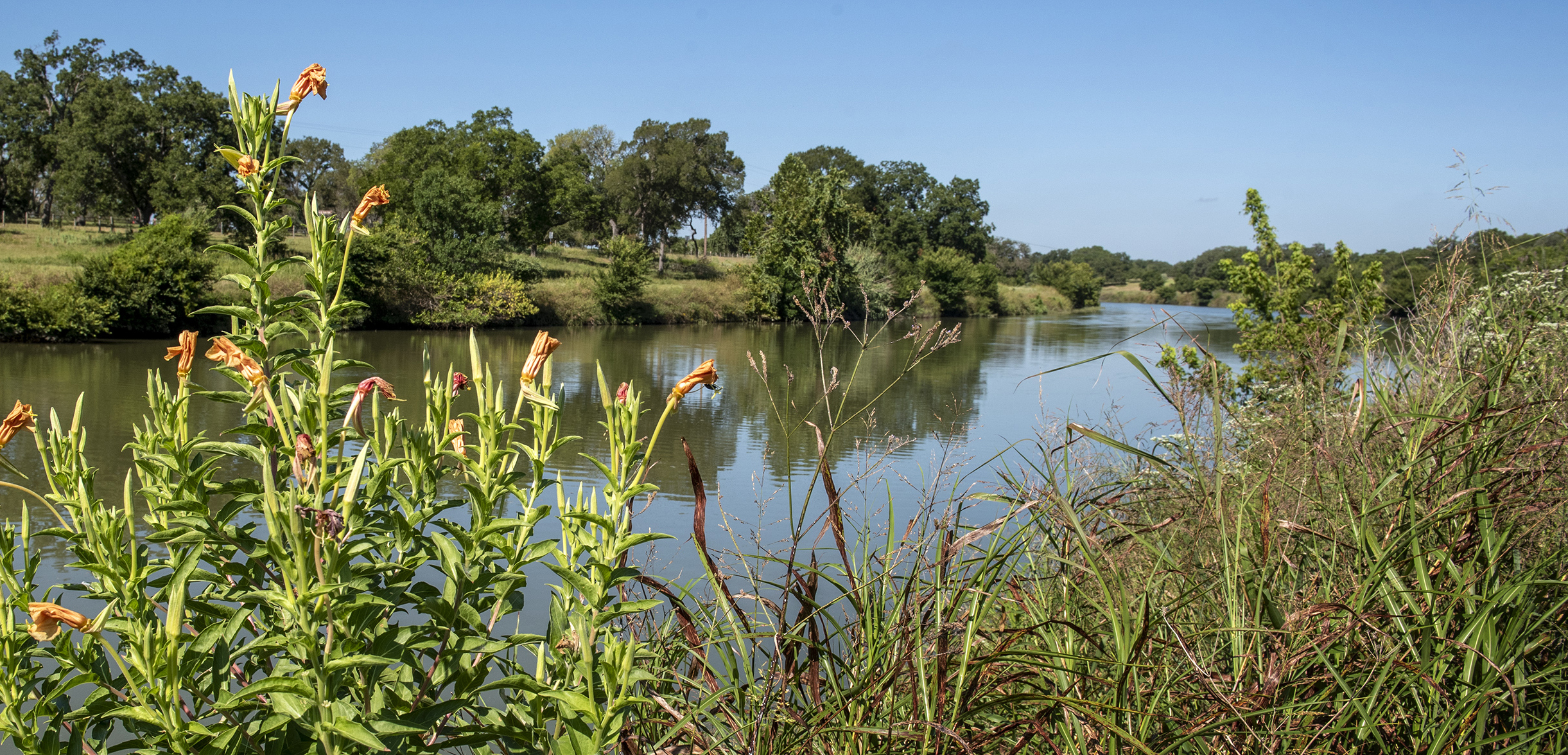 A blue sky is reflected in a stretch of river bordered by lush green grass and trees.