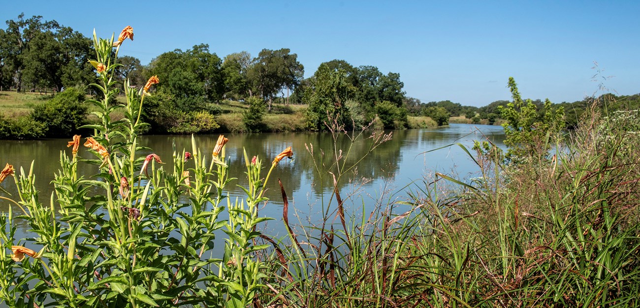 A blue sky is reflected in a stretch of river bordered by lush green grass and trees.