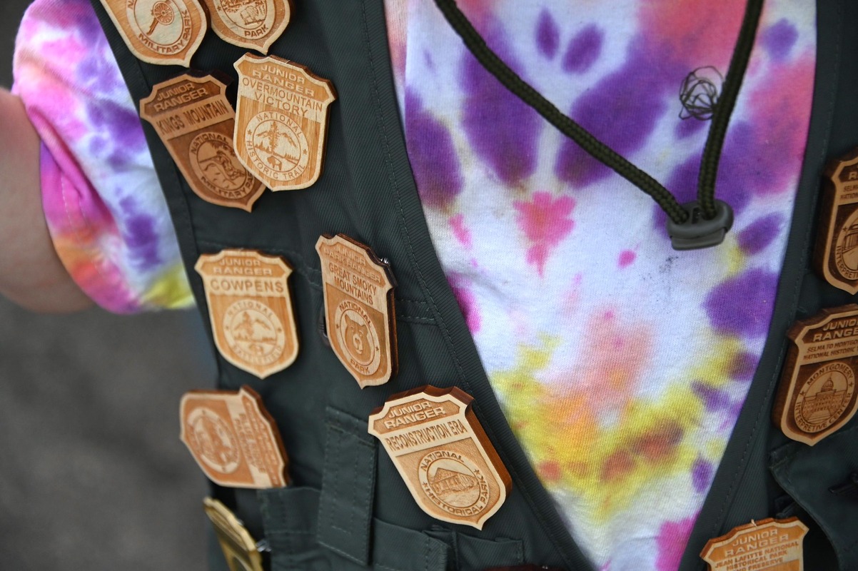 Various wooden junior ranger badges