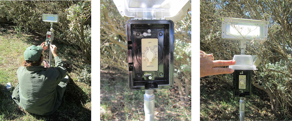 Three photos: a park employee installing a timer, a closeup of a timer, timer and a light.