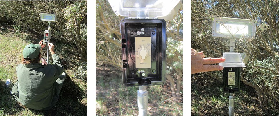Three photos: a park employee installing a timer, a closeup of a timer, timer and a light.