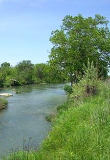 Pedernales River