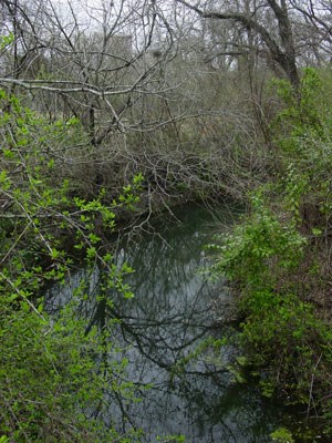 Town Creek in the Johnson Settlement Town Creek in the Johnson Settlement