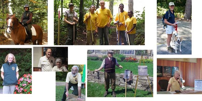 Volunteers at the Park Volunteers at the Park