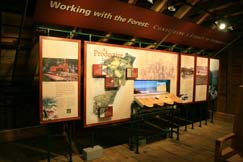 The Mount Tom Forest: A Legacy of Stewardship on exhibit in the Woodbarn.