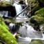 Silvery water flows over green moss-covered stones and logs in a small brook, icicles visible on twigs above.