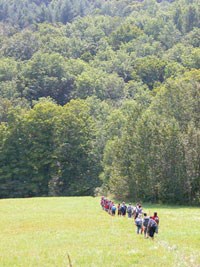Seen from a distance, a group of students walks single-file through a grassy pasture toward green hills beyond. Seen from a distance, a group of students walks single-file through a grassy pasture toward green hills beyond.