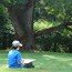 A young boy in a bright blue t-shirt and orange-billed baseball cap sits cross-legged on a grassy lawn in front of a majestic silver maple.