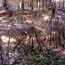 teepees - sculpture