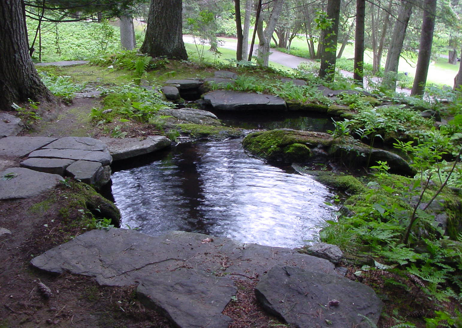 Scenic Views - Marsh - Billings - Rockefeller National Historical Park (U.S. ...
