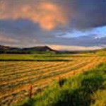 The sun turns the clouds shades of pink and yellow as it illuminates fields.