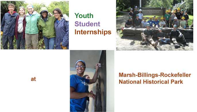 internships internships