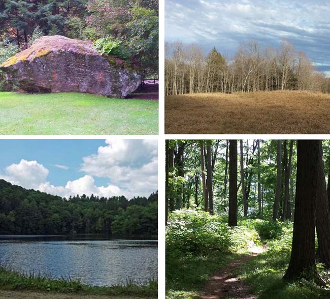 Features & Ecosystems Collage Features and Ecosystem collage