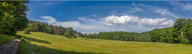 Landscape of MABI showing pasture and forest