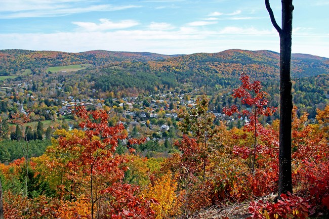 View from Mount Tom South Peak Fall forest