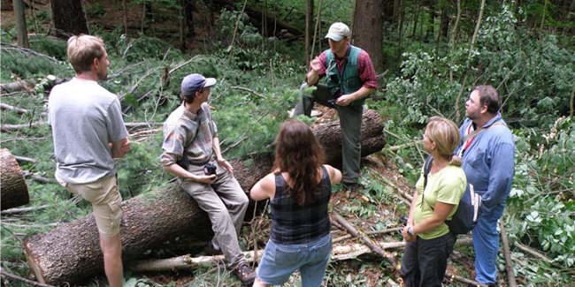 Sustainable Forestry discussion Sustainable Forestry discussion
