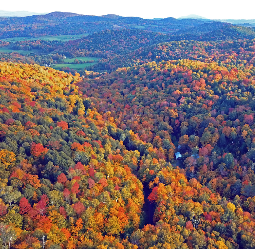 hilly landscape from aerial view of trees in peak fall foliage