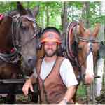 Logging with draft horses