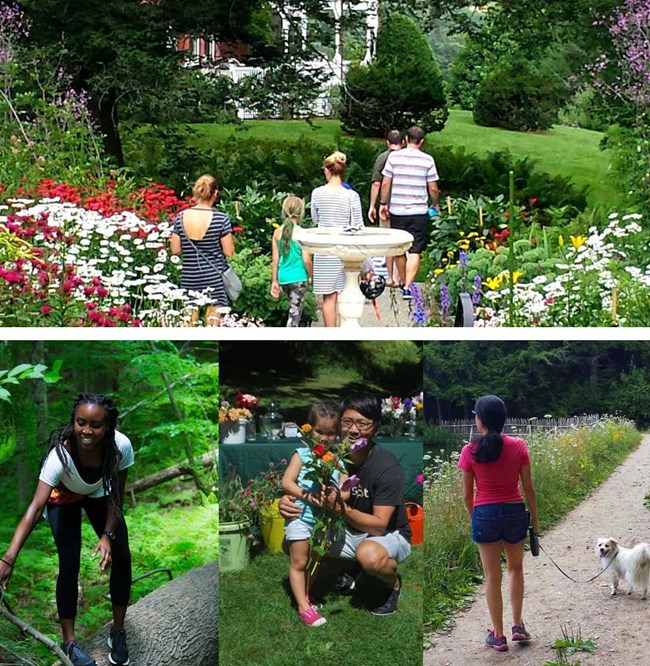 4 photos of people in the park