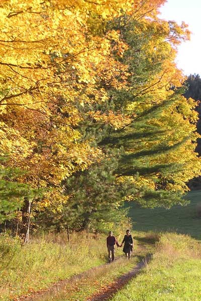 Autumn Hike to South Peak