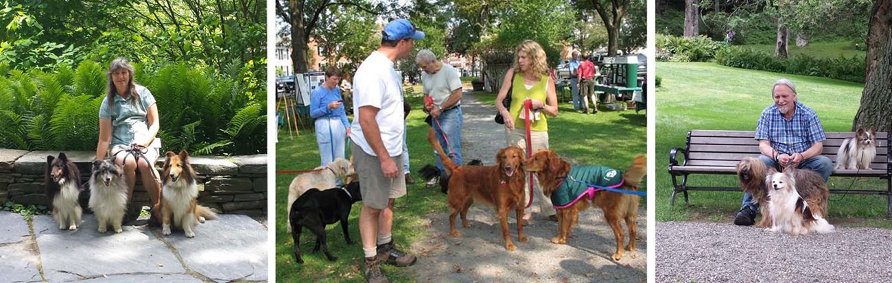3 photo collage of dog owners & their dogs