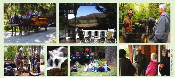 Forest Festival Collage Forest Festival Collage