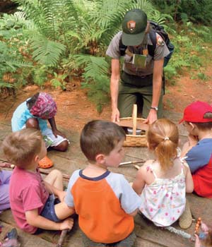 Fun in Forest Camp Fun in Forest Camp