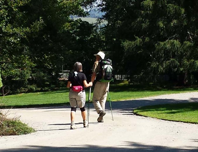 Hikers with poles in park