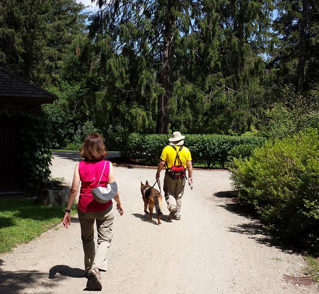 Two people walking with dog on a sunny day