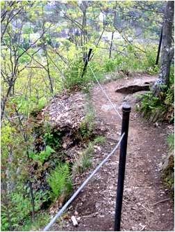 Hiking Path