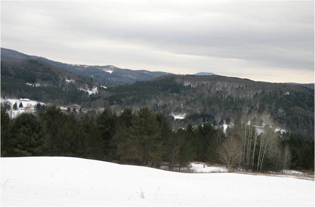 King Farm Overlook King Farm Overlook