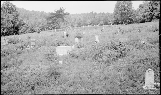 A black and white photo of a cemetery beginning to be overgrow by vegetation.
