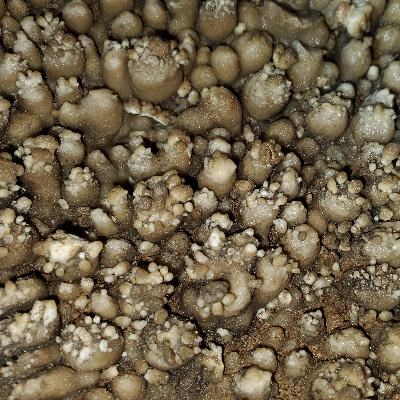 A rock formation with small bumps resembling popcorn