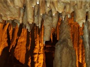 Stalactites Stalagmites And Cave Formations Mammoth Cave National 