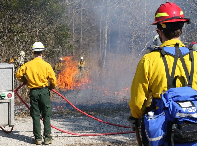 Several firefighters work to manage a small prescribed fire.