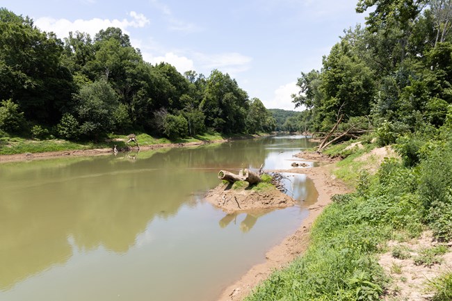 A river channel with logs on the banks