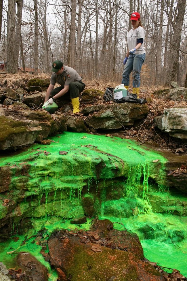 Two park rangers pour green dye in to a stream.