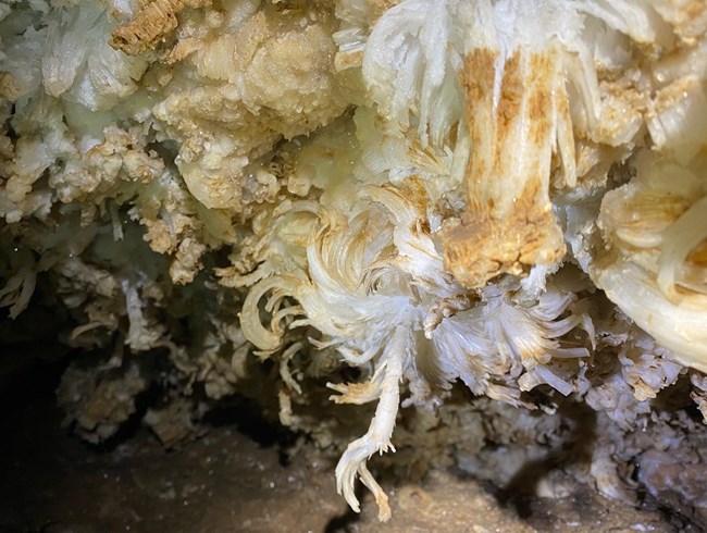 An intricate white mineral that resembles a flower.