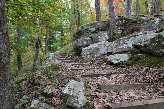 Steps on a surface trail with large rocks along the side of the trail.