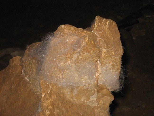 A white cotton-like mineral on a rock.