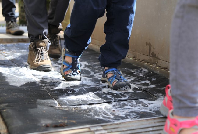 People walking across a large soapy sponge.