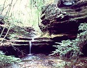 Nature and Science Nature and Science