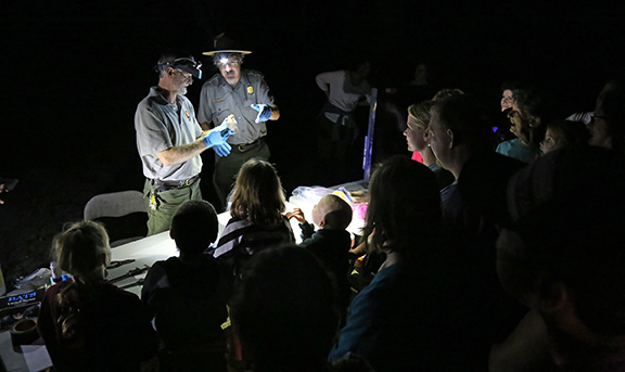 Bat researchers and people