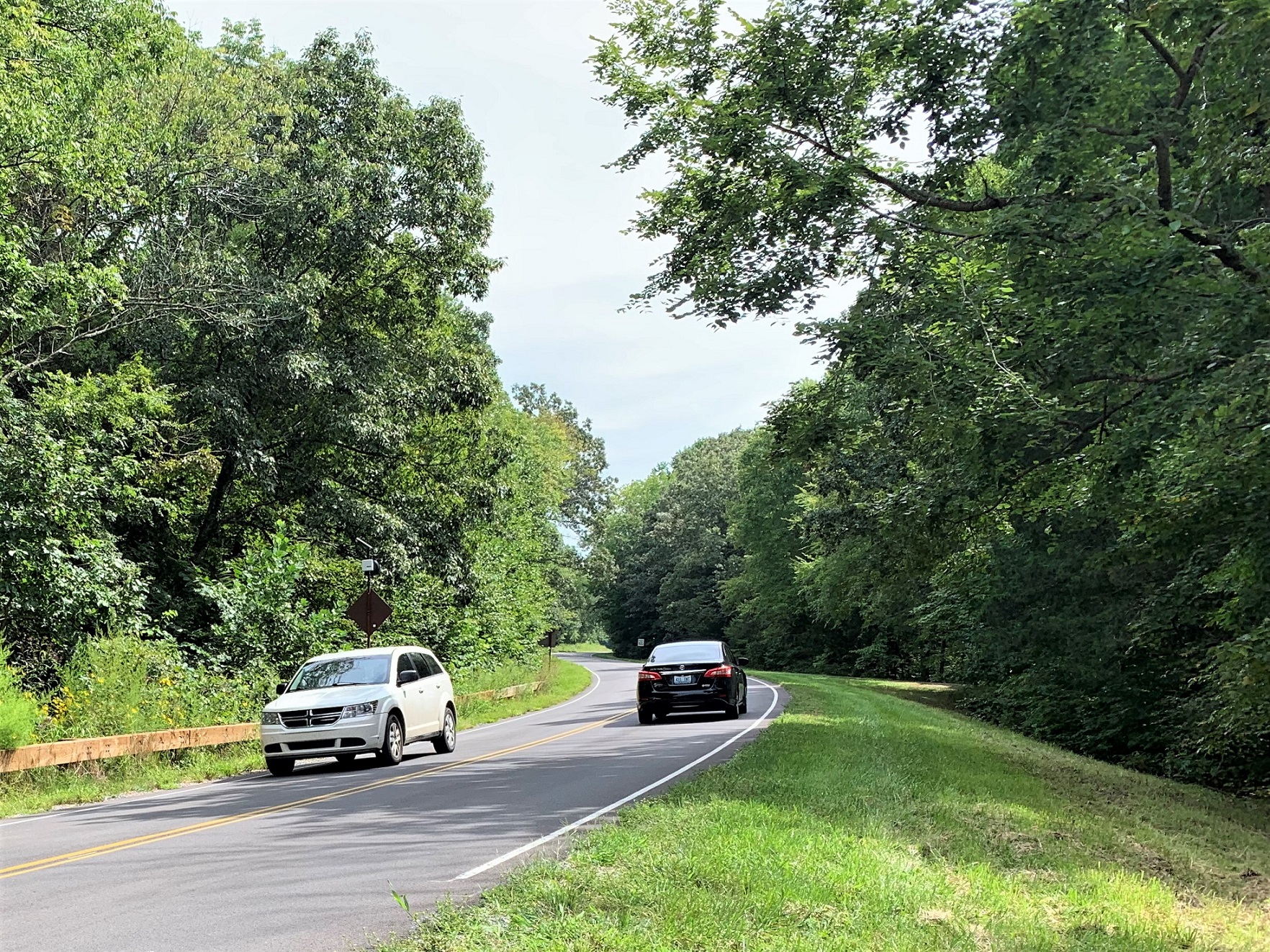 Two cars moving in opposite directions on a gray asphalt road in a wooded area.